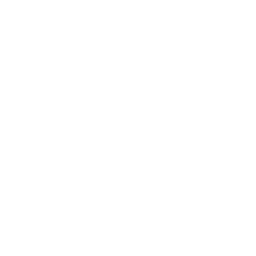 TechSmart Robotics Logo